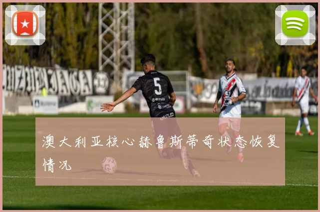 澳大利亚核心赫鲁斯蒂奇状态恢复情况