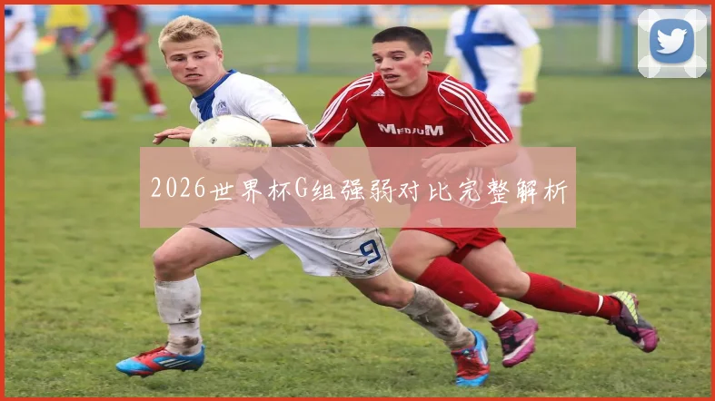 2026世界杯G组强弱对比完整解析