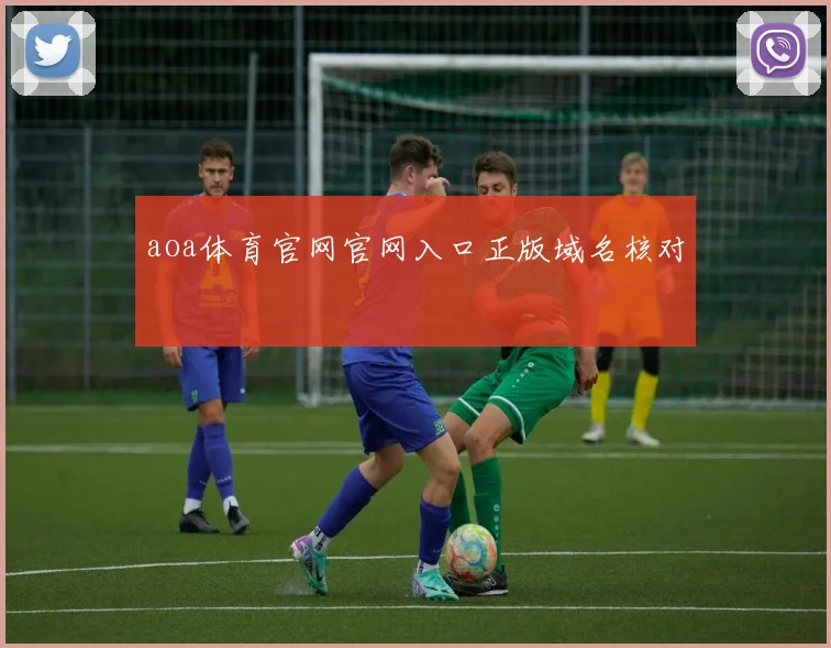 aoa体育官网官网入口正版域名核对