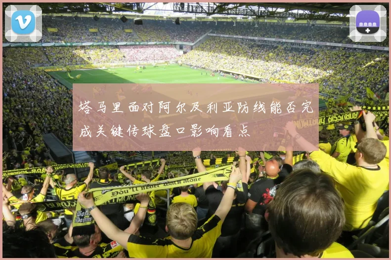 塔马里面对阿尔及利亚防线能否完成关键传球盘口影响看点