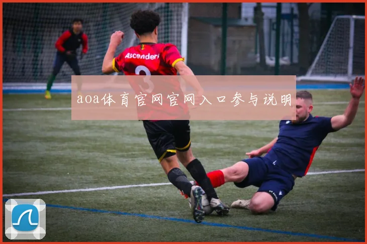 aoa体育官网官网入口参与说明