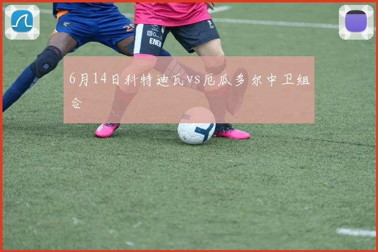 6月14日科特迪瓦vs厄瓜多尔中卫组合