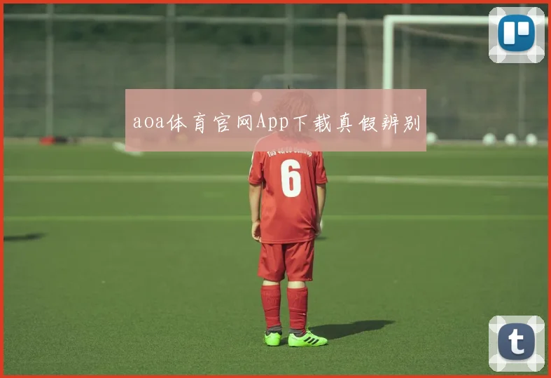 aoa体育官网App下载真假辨别