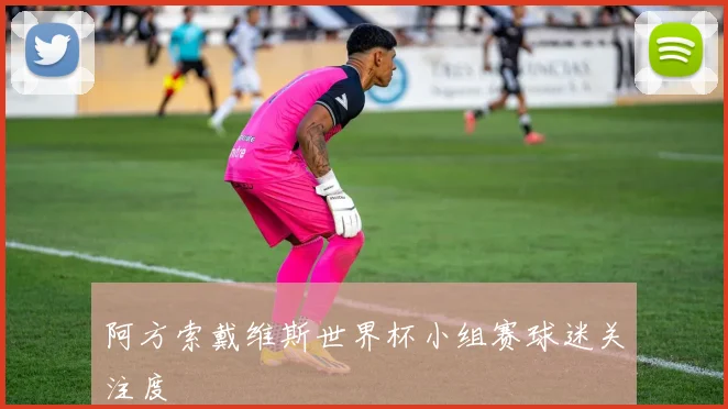 阿方索戴维斯世界杯小组赛球迷关注度